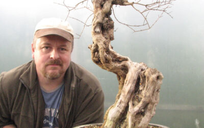 New Movie – Bonsai Deadwood Refinement Techniques