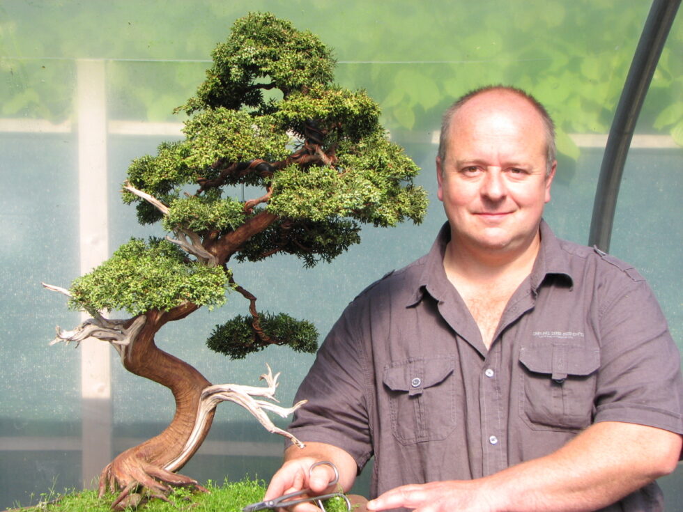 Bonsai Gallery Graham Potter Kaizen Bonsai Blog