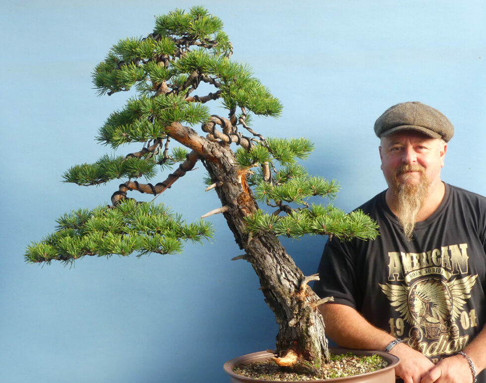 Pearls of Wisdom Graham Potter Kaizen Bonsai Blog