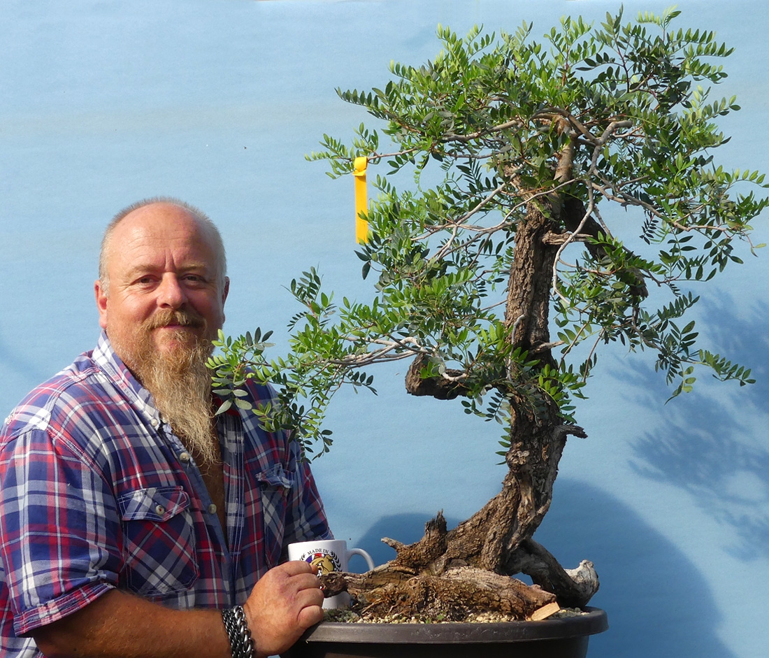 Mediterranean species we use in bonsai.
