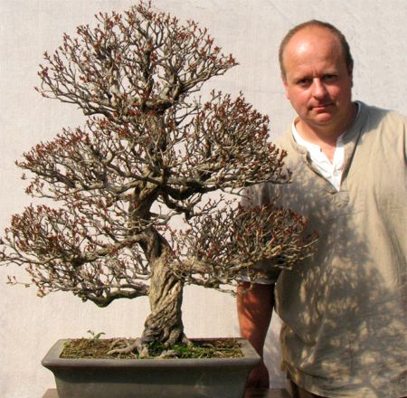 Graham Potter, bonsai trees