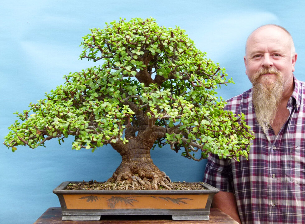 Graham Potter Kaizen Bonsai Blog