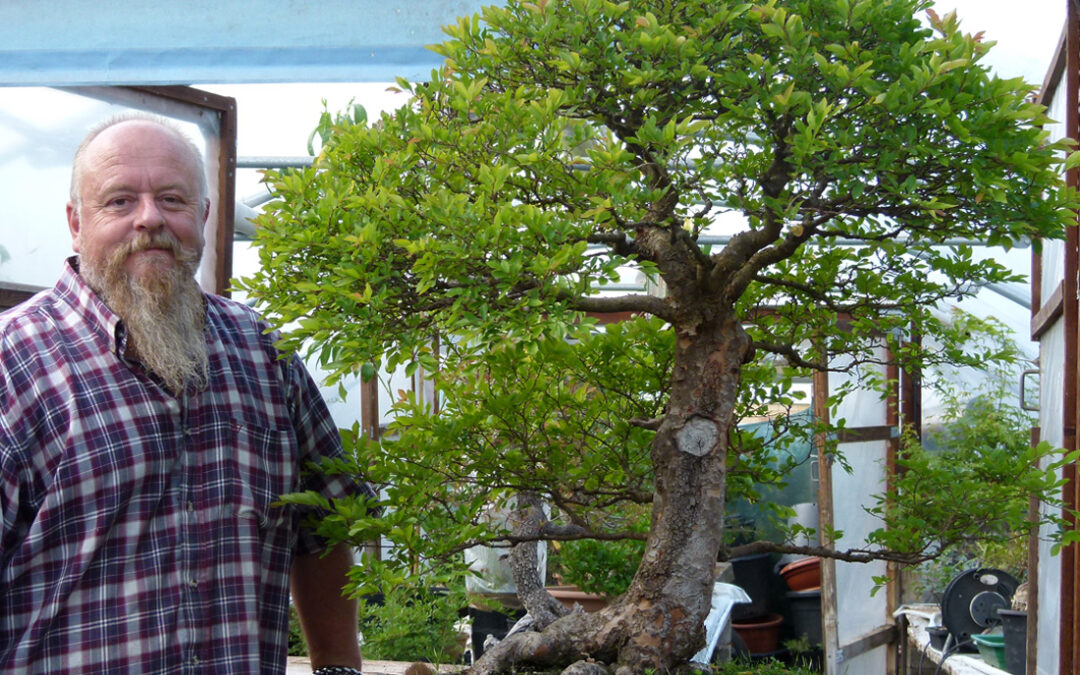 Going Around In Circles