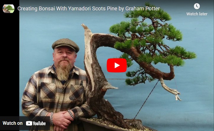 New Video Available Now