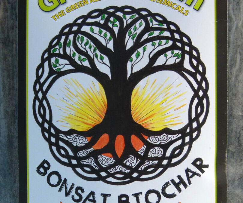 The Same But Different