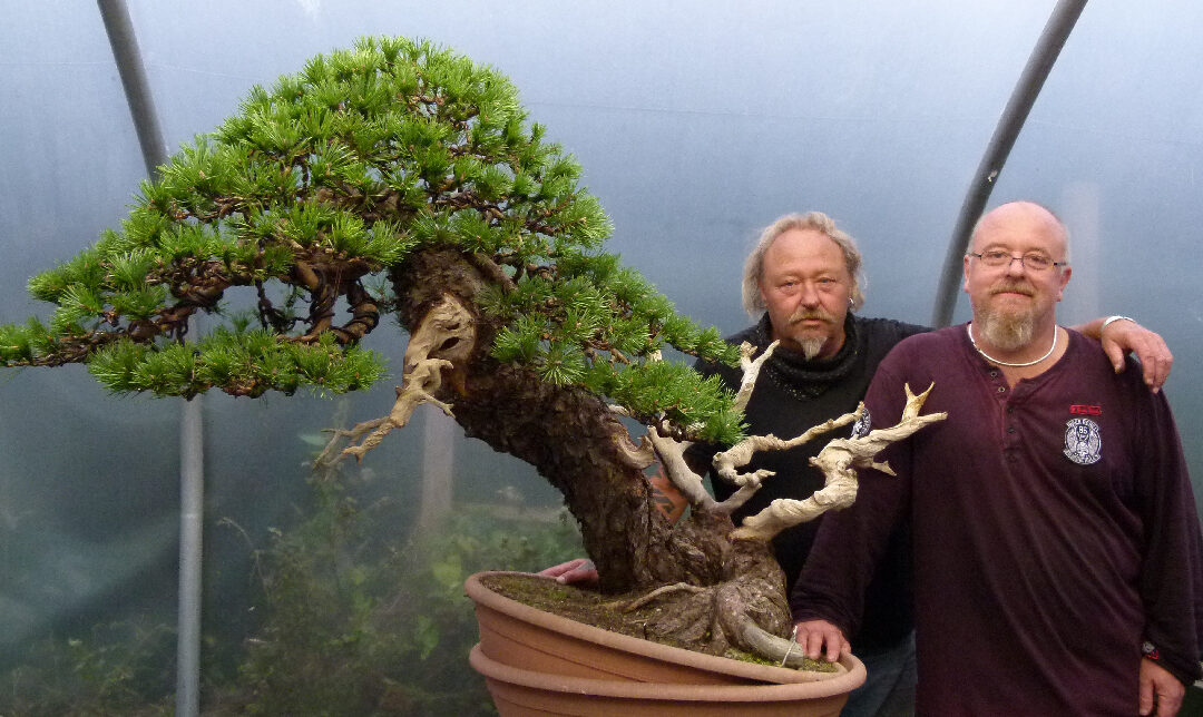 Graham & Kevin Willson’s First Bonsai Creation Collaboration