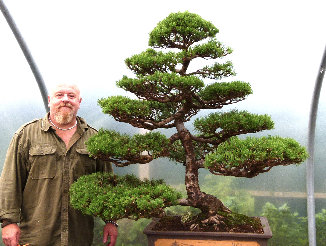 New Bonsai Videos (2) Available Now Graham Potter Kaizen Bonsai Blog