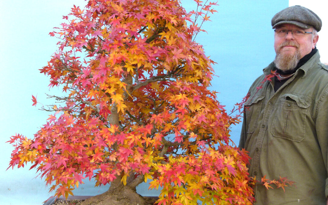 Japanese Maple Bonsai Pruning Video – New!