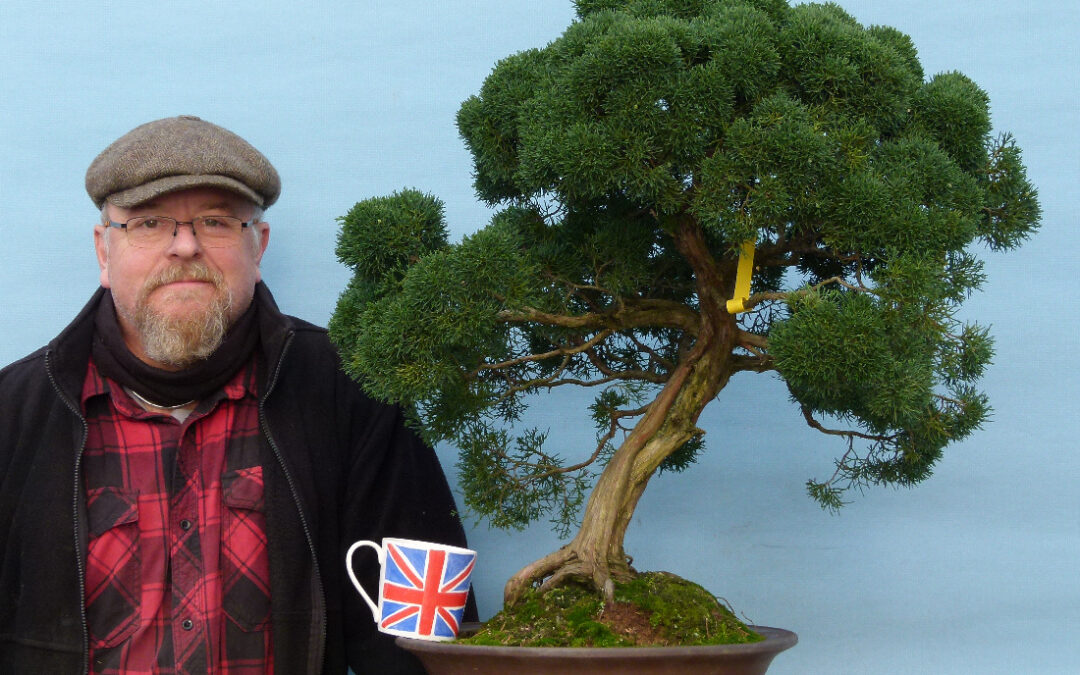 Busy Few Weeks at Kaizen Bonsai & Video.