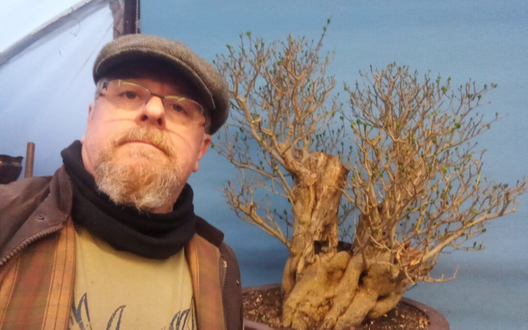 Bonsai Repotting Adventures