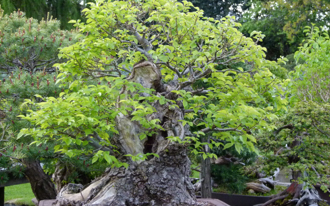 It’s Time To Relax a Little