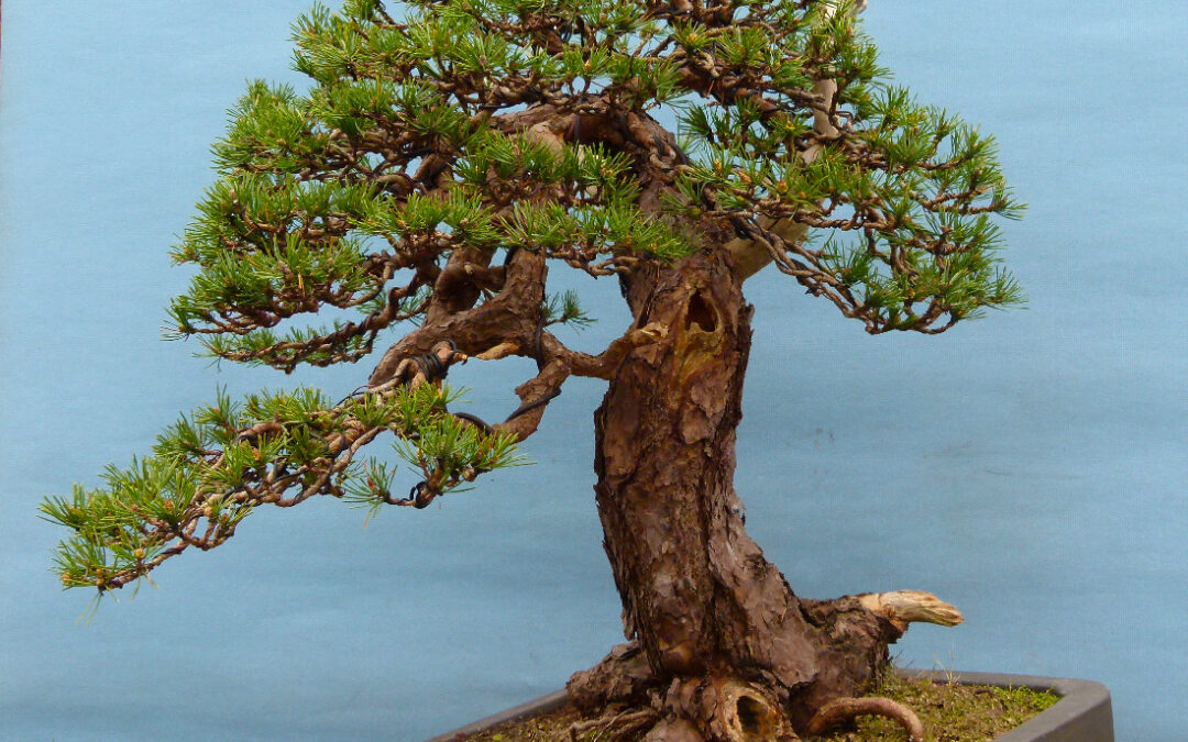 Two Half Heads are Better Than One!