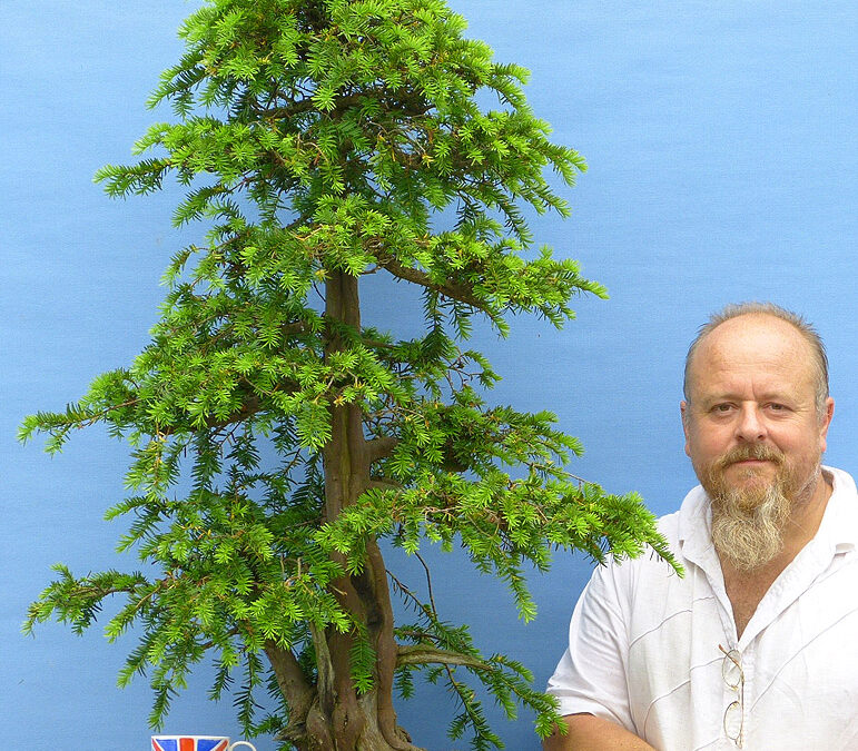 Great British Bonsai