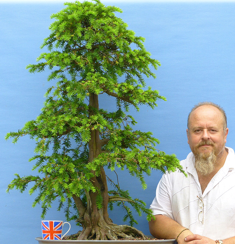 I have been buying up a lot of bonsai collections. As a result I have seen some Great British Bonsai.