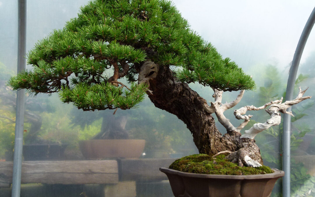 Graham Potter’s Big Weekend.