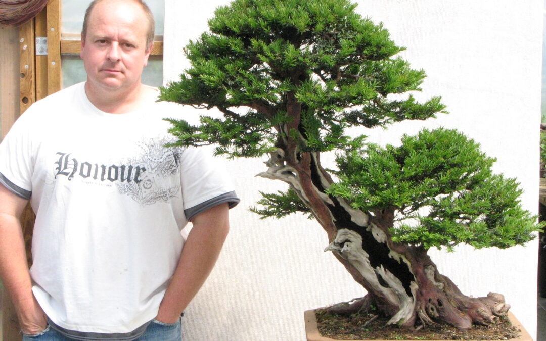 The Summer That Was (not) & Upcoming Bonsai Projects