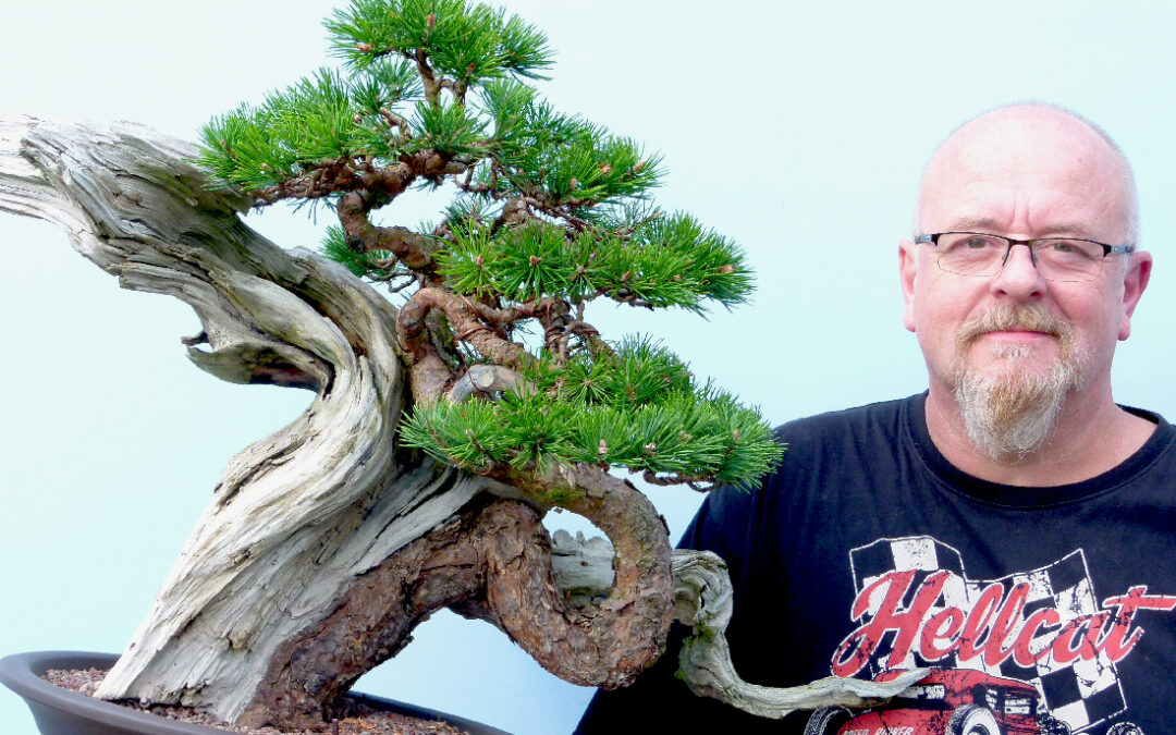 Another Bonsai Video!