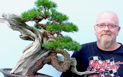 Another Bonsai Video!