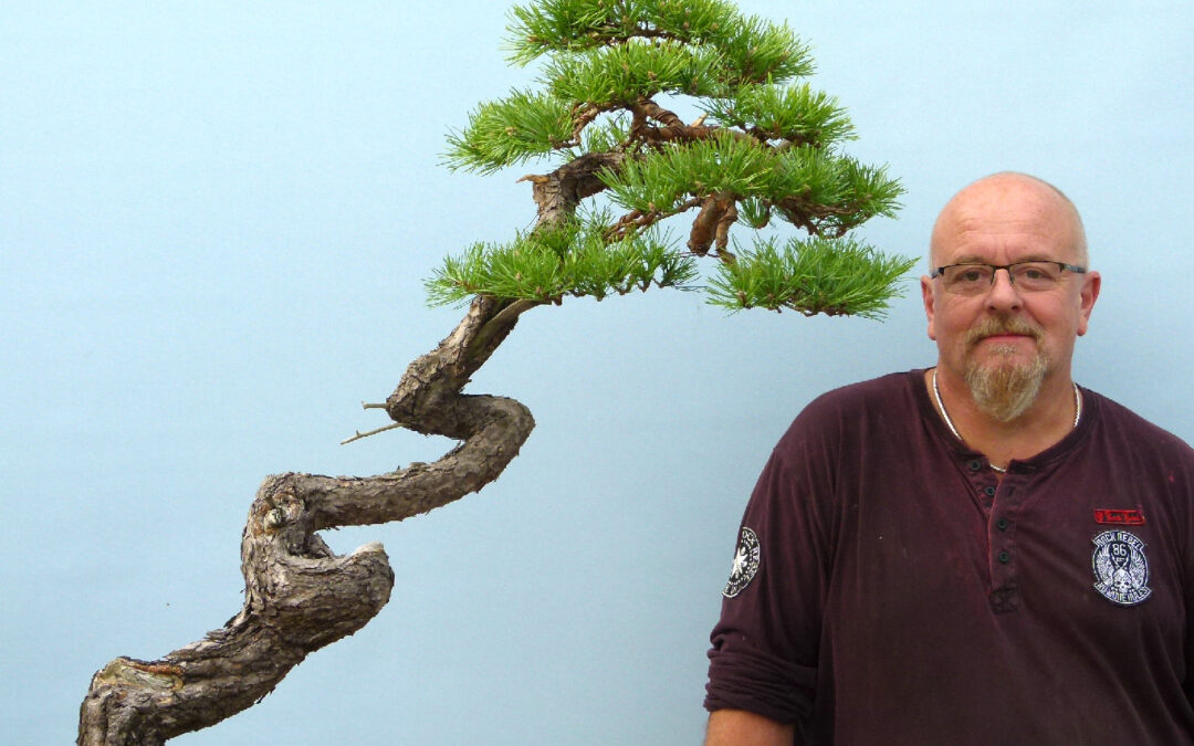 New Bonsai Videos