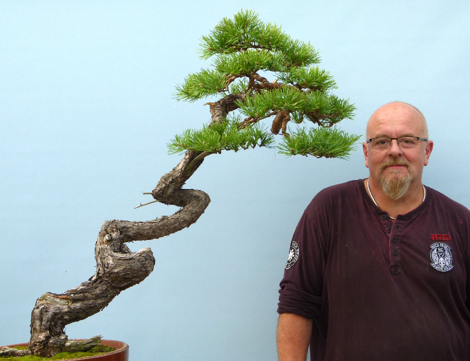 New Bonsai Videos - Graham Potter | Kaizen Bonsai Blog