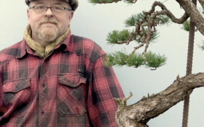 What’s Rebar Got to do with Bonsai?