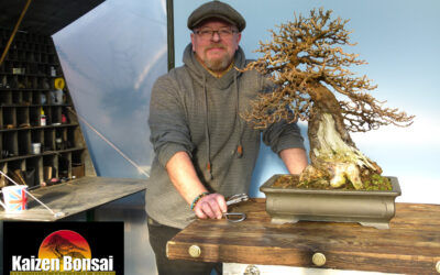 Happy New Year Moi Luvlies!