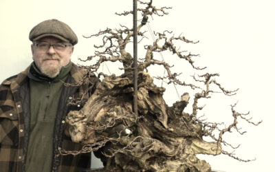 Take a Sneaky Peek at This!