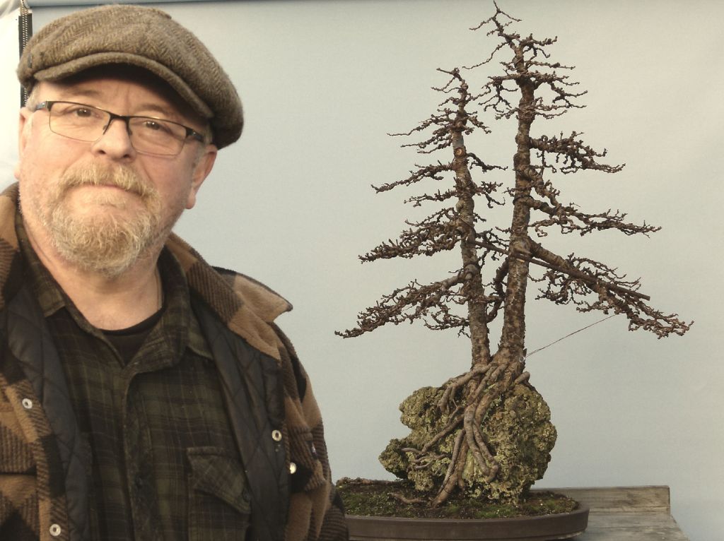 bonsai restoration