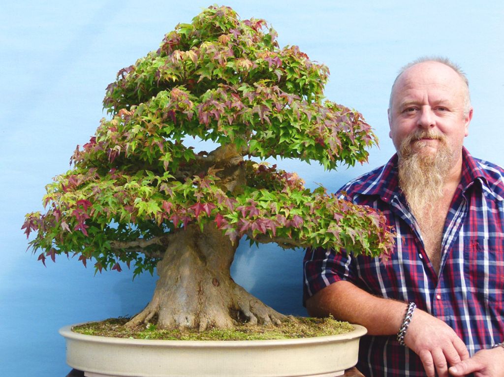 Graham Potter's bonsai trees