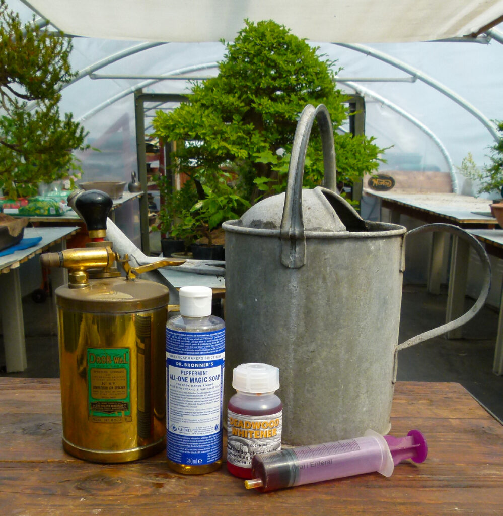 Lime sulphur, rainwater, Castile soap and a sprayer.