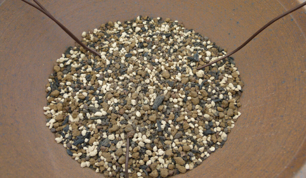 Sabina juniper bonsai soil mix