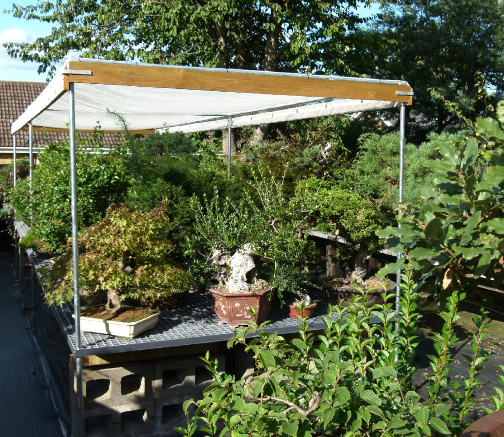 Bonsai shade structure